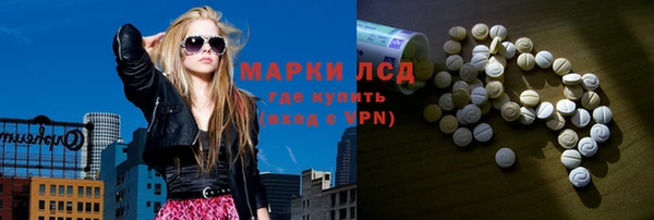 ГАЛЛЮЦИНОГЕННЫЕ ГРИБЫ Каменка