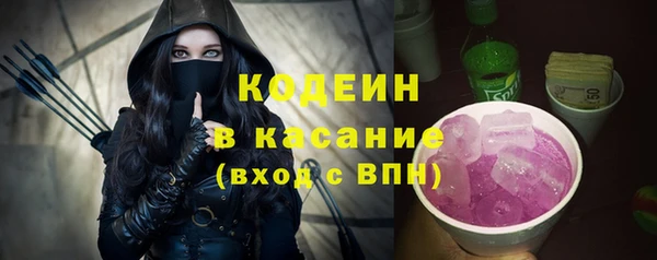 ГАЛЛЮЦИНОГЕННЫЕ ГРИБЫ Каменка