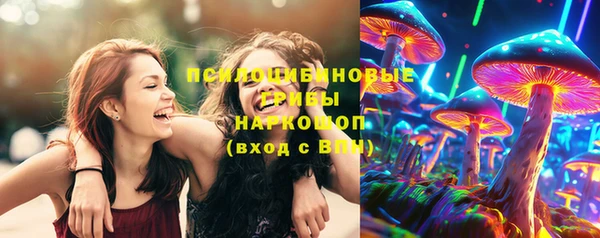 прущая мука Каменногорск