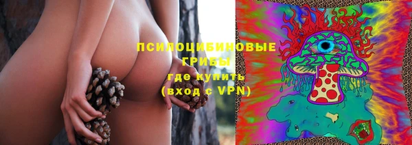 ГАЛЛЮЦИНОГЕННЫЕ ГРИБЫ Каменка