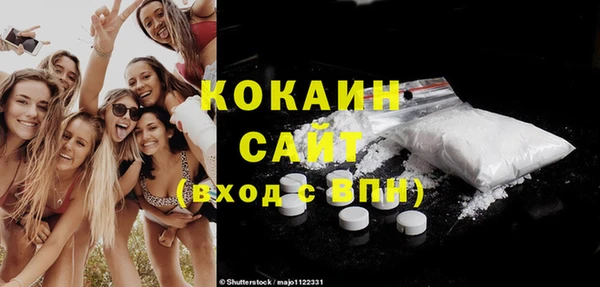 ГАЛЛЮЦИНОГЕННЫЕ ГРИБЫ Каменка