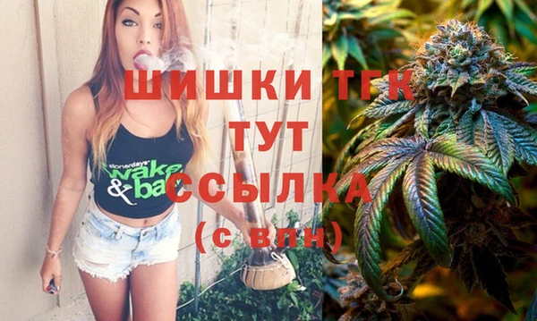ГАЛЛЮЦИНОГЕННЫЕ ГРИБЫ Каменка