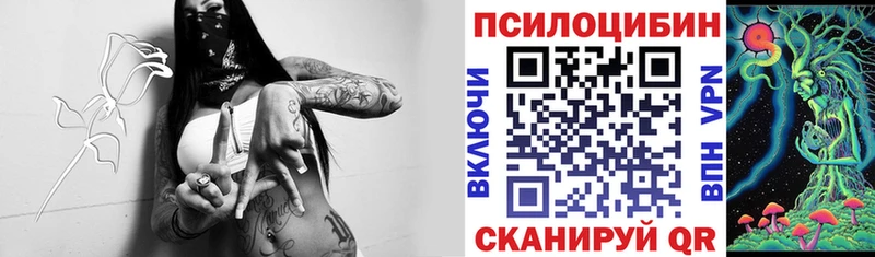 Купить  Балабаново  Псилоцибиновые грибы Magic Shrooms 